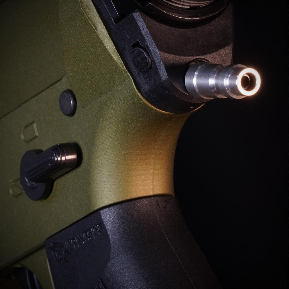 MTW Fossil Collection: Dig 1