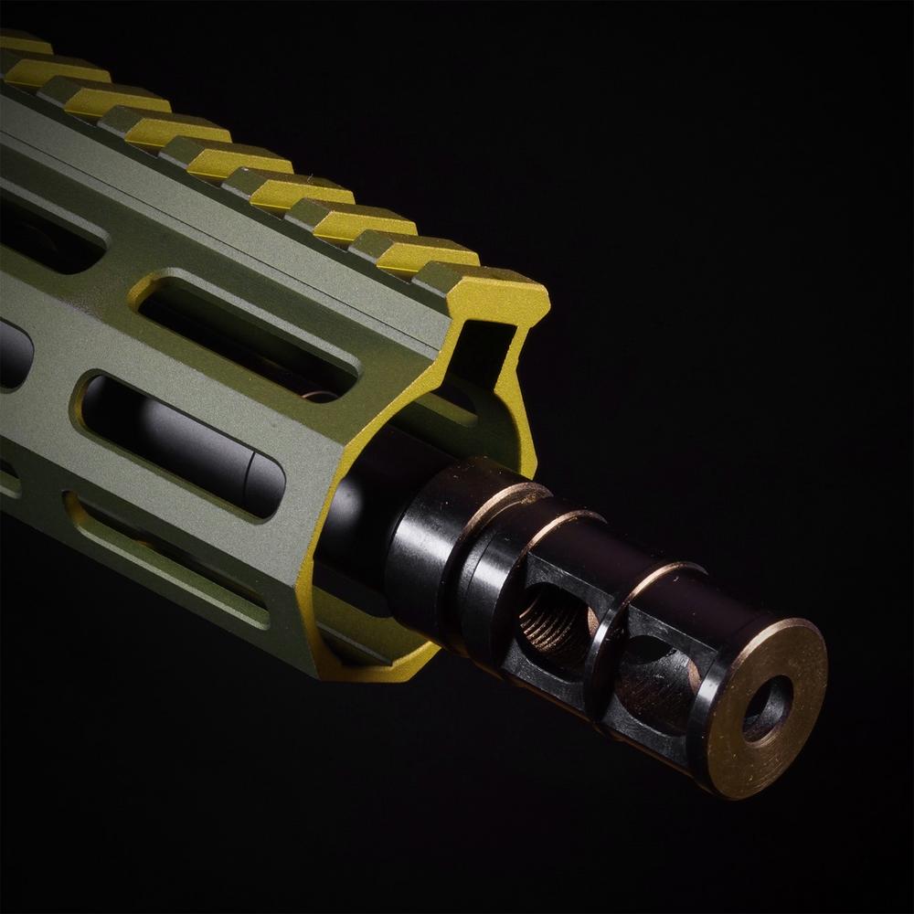 MTW Fossil Collection: Dig 1